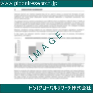 グローバルリサーチ調査資料のイメージ
